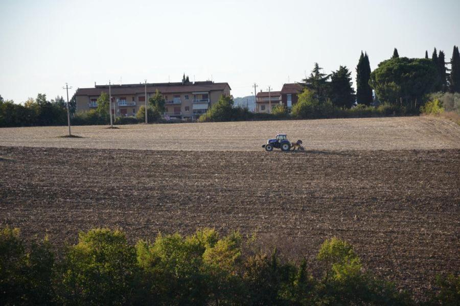 Вілла Perugia Farmhouse Екстер'єр фото